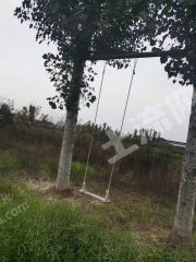 新乡卫滨区15亩独立大院出租XX1594