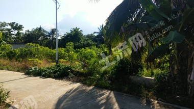 海南萬(wàn)寧市500平米宅基地使用權(quán)出租