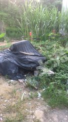 惠州惠東縣城邊72平米宅基地使用權出租