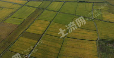 江西省南昌县  1000亩水田经营权出租