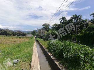 三亞天涯區(qū)1300平米宅基地使用權(quán)出租