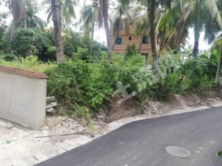 三亞天涯區(qū)3263平米宅基地使用權(quán)出租