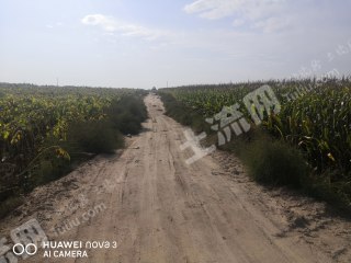 巴彦淖尔乌拉特中旗2000亩水浇地经营权出租