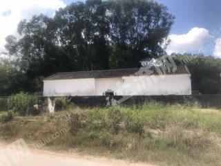 惠东县大岭镇150平瓦房带院子使用权出租