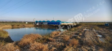 固原原州区30亩设施农用地经营权出租