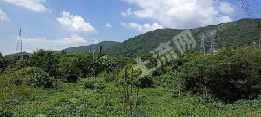 廣東/惠州/惠城區(qū)600平米宅基地使用權(quán)出租