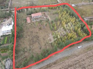 赤峰林西县15亩有林地经营权转让