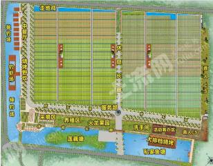 广东中山90亩农场经营权转让