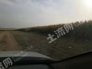 巴彦淖尔乌拉特中旗800亩水浇地经营权出租