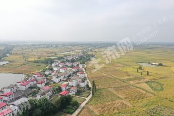 南昌新建区 2700亩 水田 经营权出租