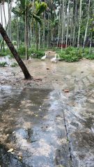 三亞吉陽(yáng)區(qū)667平米宅基地使用權(quán)出租