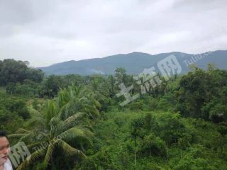 三亞天涯區(qū)2000平米宅基地使用權(quán)出租