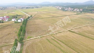 南昌安义县7000亩水田经营权出租
