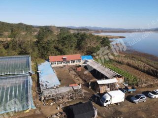 大连庄河市 1300亩 其它林地 经营权转让