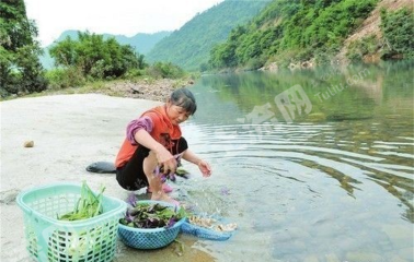 柳州鱼峰区1500平米度假山庄使用权出租