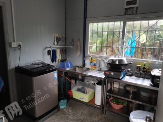 江门新会区40亩果园流转