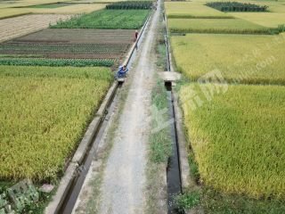 柳州鹿寨县1000亩水田经营权出租