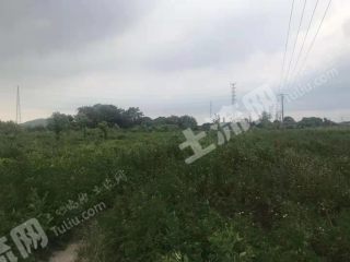 佛山南海区 100亩 水浇地 经营权出租