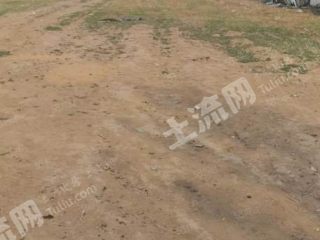 衡水饶阳县4800平米商业用地使用权出租