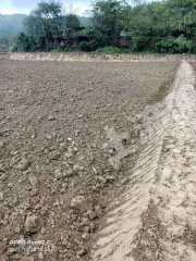 郴州桂阳县 225亩 水田 经营权出租