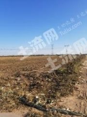 衡水武邑县40亩空闲用地使用权出租