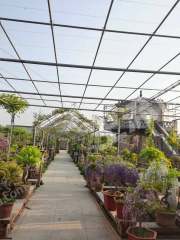 臨沂蘭山區(qū)18畝度假山莊出租