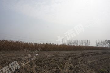 新乡长垣市340亩水浇地经营权出租XX1607