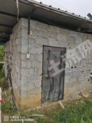 百色田东县578亩香蕉地经营权转让