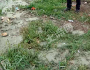山东济宁 2亩 水浇地 经营权转让