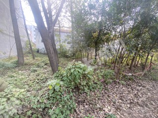 宅基地使用权出租