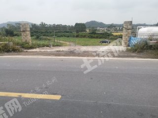 玉林兴业县55亩果园经营权转让