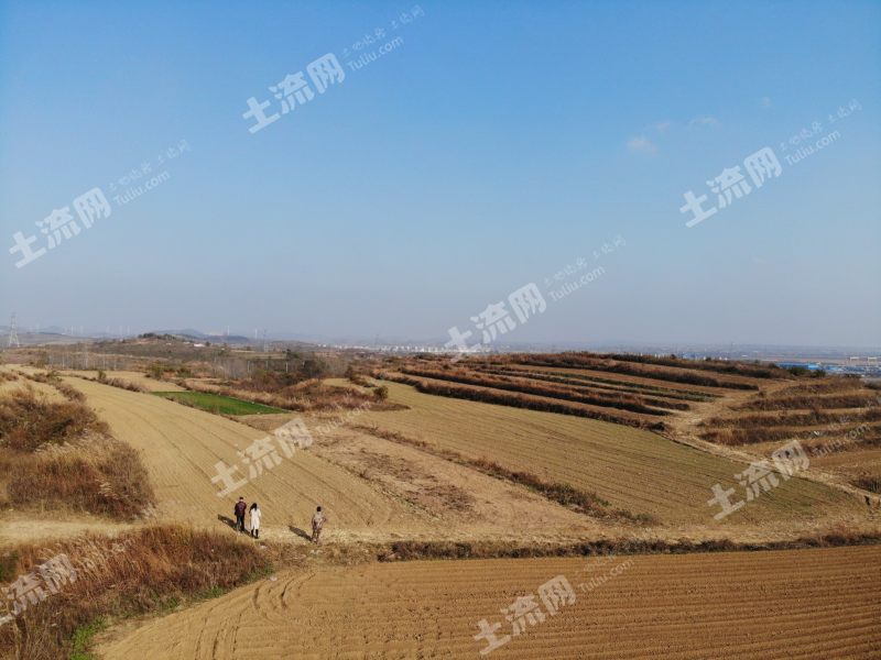 威海文登区宋村镇500亩山坡地对外出租