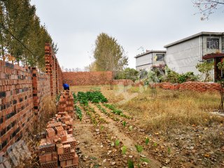 臨沂蘭山區(qū)1.5畝宅基地使用權(quán)出租