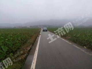 湖南省永州市蓝山县（城区边）460亩水田经营权出租