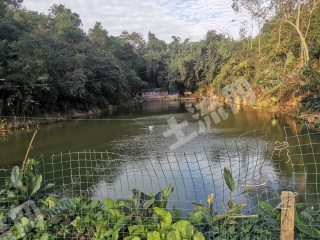 玉林兴业县4亩综合养殖用地经营权出租