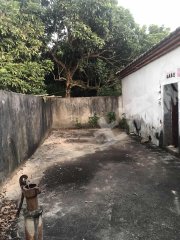广东/惠州/惠东县白花100平米农家庭院出租