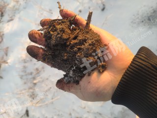 齐齐哈尔富裕县6063亩旱地经营权出租