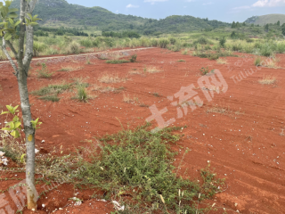 湖南省永州市新田县500亩整改土地（已开垦）经营权出租