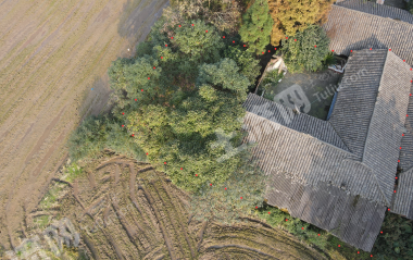 崇州道明重慶路附近256.88平米農(nóng)房使用權(quán)合作