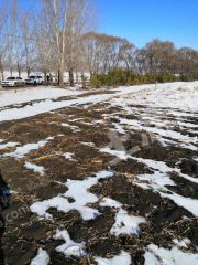 吉林永吉县20000亩旱地经营权转让