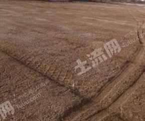 衡水景县4000平米综合用地使用权转让