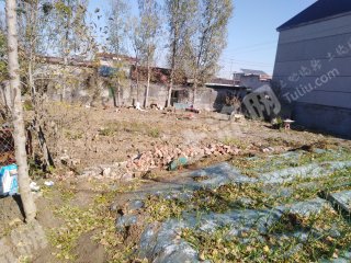 臨沂蘭陵縣1.2畝宅基地使用權(quán)出租