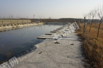 新乡北环附近20亩其它林地及鱼塘经营权转让XX1613