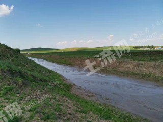 兴安盟扎赉特旗700亩水田经营权出租