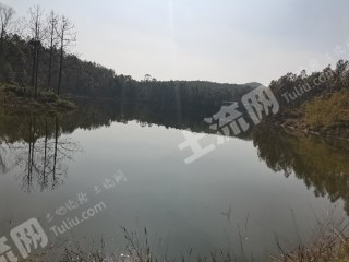 江门恩平市43亩综合养殖用地经营权出租