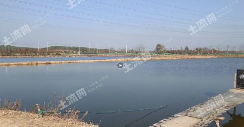 南京溧水区 124亩 坑塘水面 经营权出租