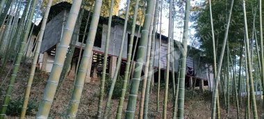安徽/宣城/宁国市10亩有林地经营权转让