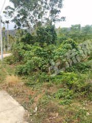 海南萬(wàn)寧市666平米農(nóng)村宅基地使用權(quán)出租