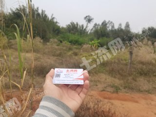 江门恩平市15亩空闲用地使用权出租