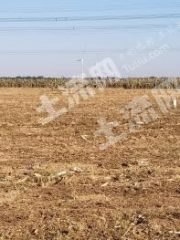 衡水冀州区2亩其它耕地经营权转让